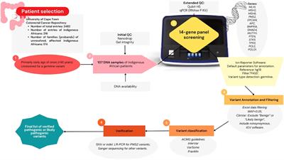 Genetic insights: High germline variant rate in an indigenous African cohort with early-onset colorectal cancer